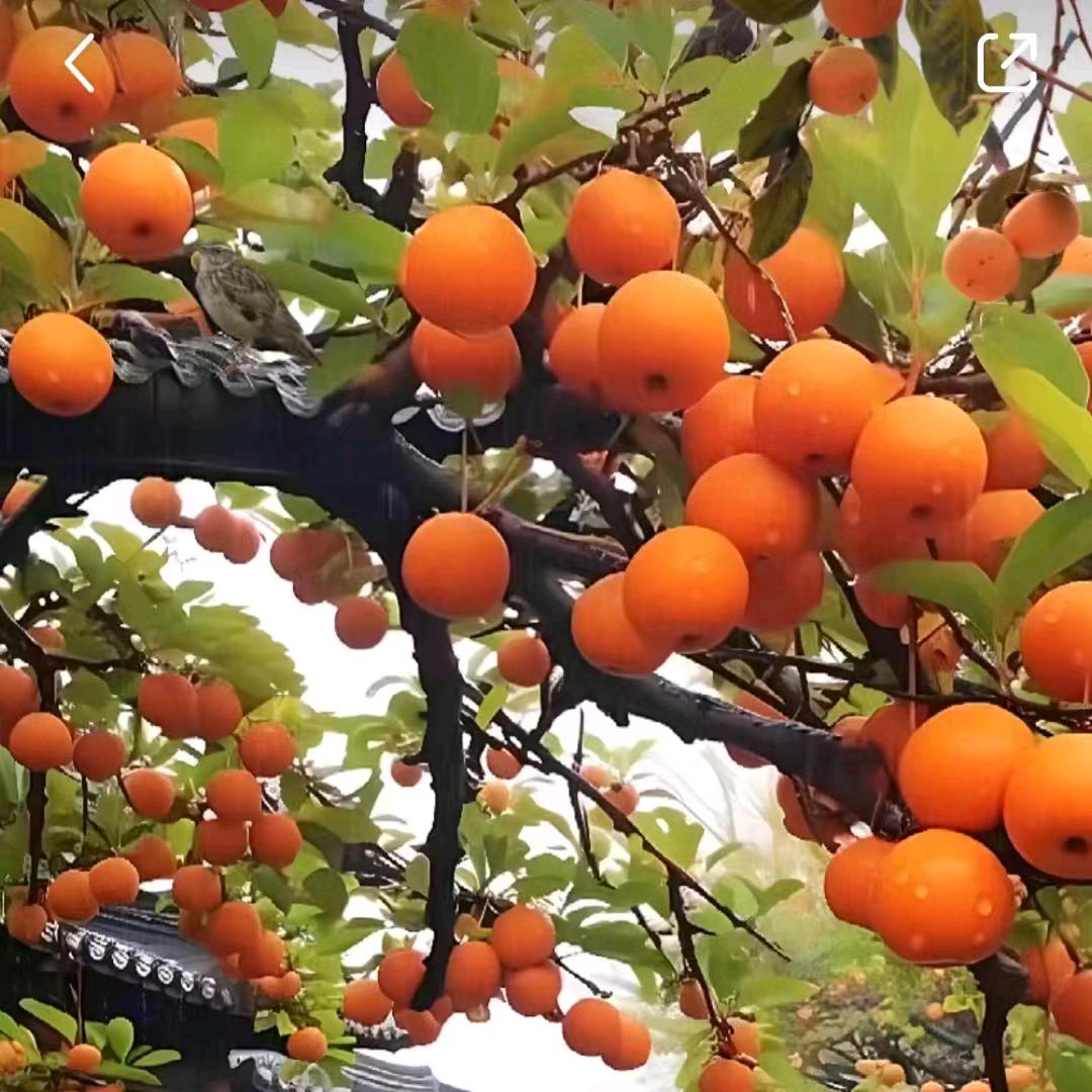 安暖