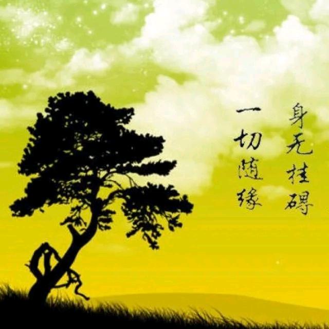 风止归息