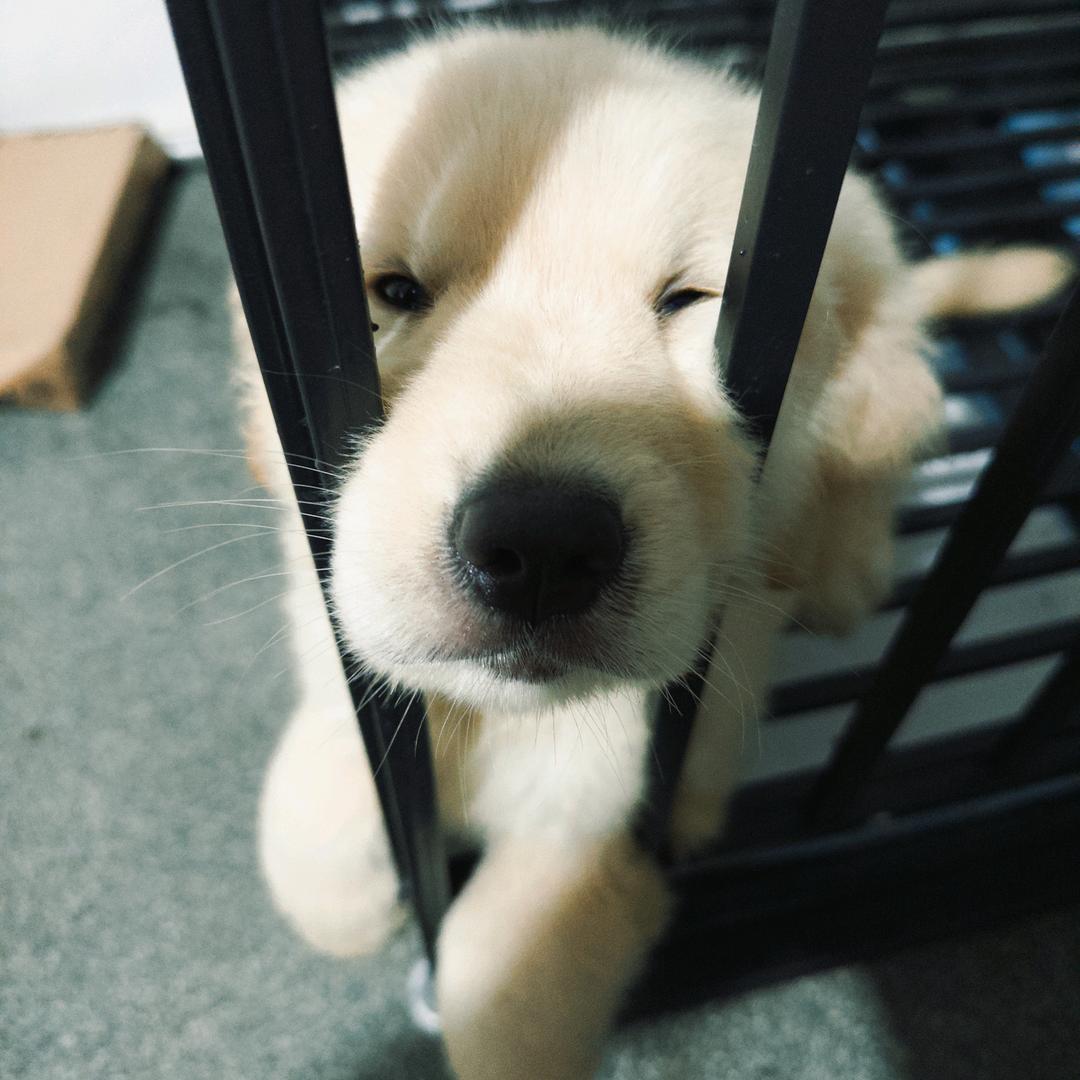 别再说反话