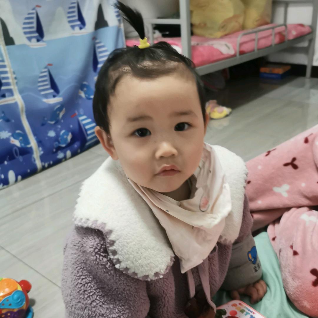 旺财图图