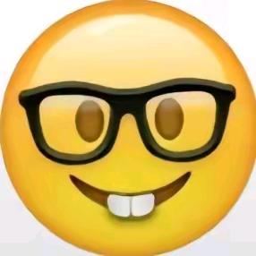 顺达束友LM头像