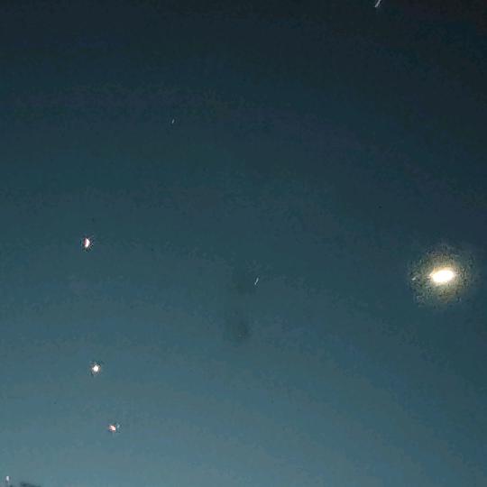 稀里糊兔⁸⁸⁷