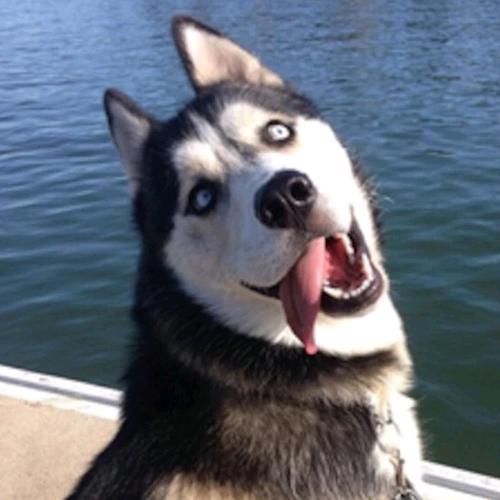 茅台紫云妈妈驿站