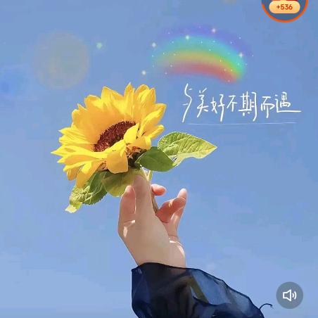 红火火短剧