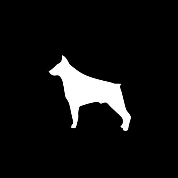 我的名字叫逗逗