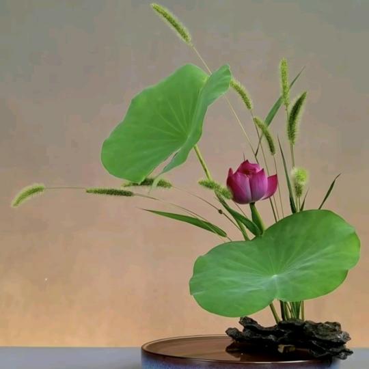 嫣然0