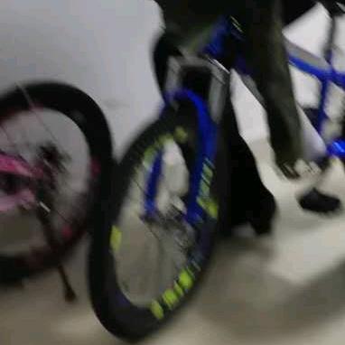 南方的秋凉