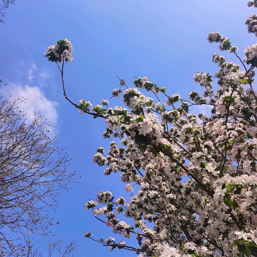 运营商-闫