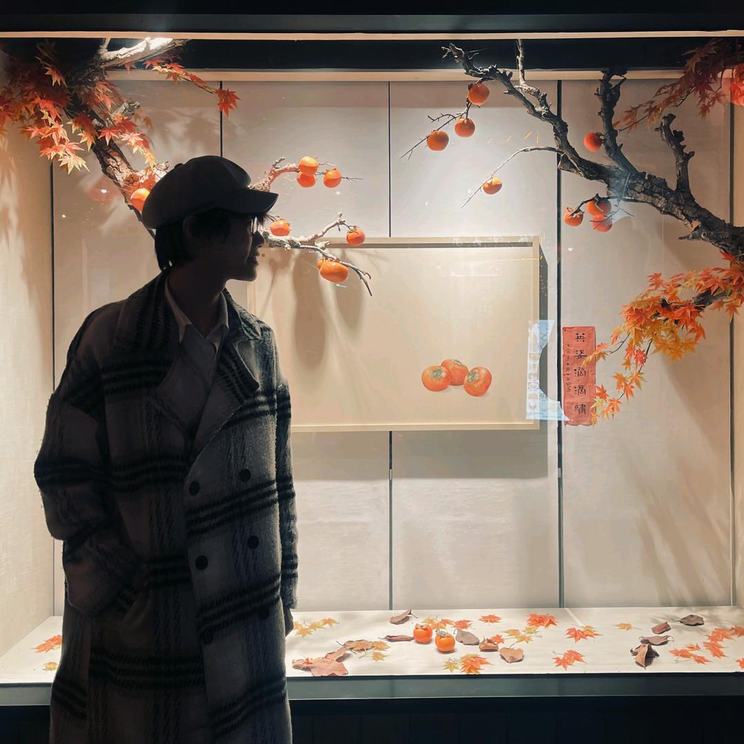 温柔先生白鹭