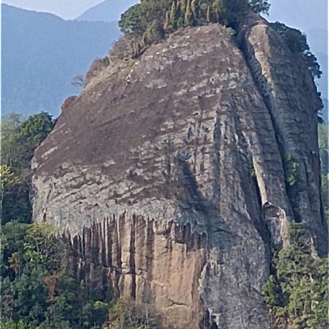 阳光