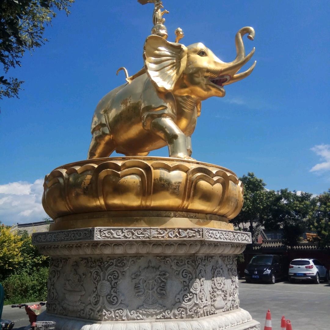 坚持与努力同在