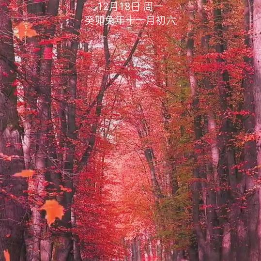 顺其自然。