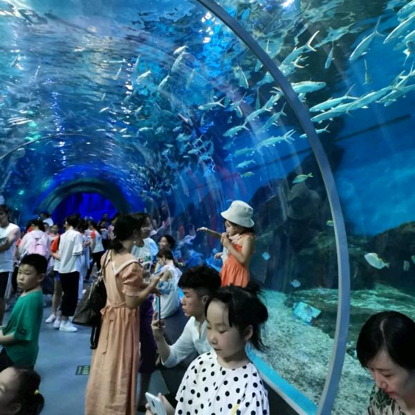 知行合一