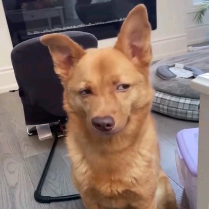 一点点搞笑