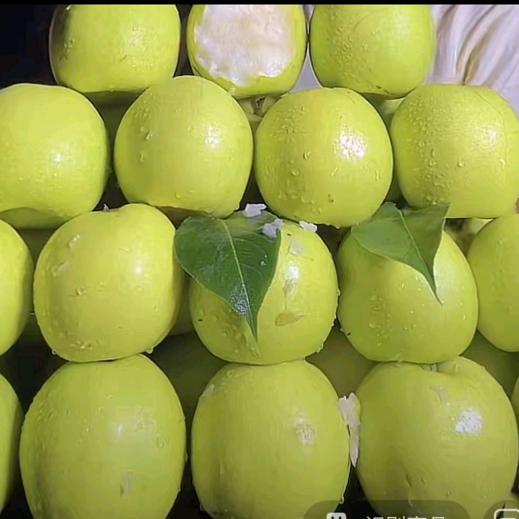 旭诺生态果蔬