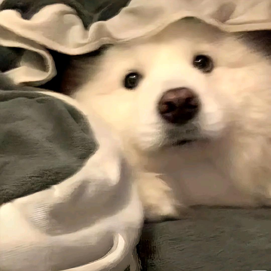 凡人