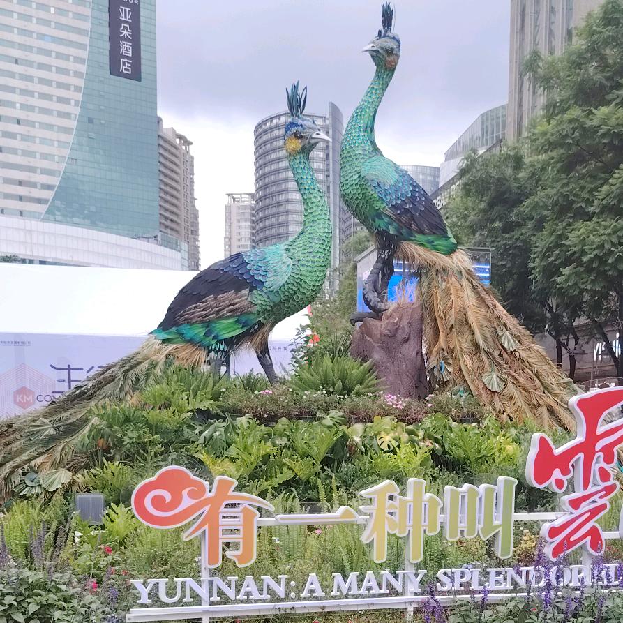💰滞留者大维⁵²¹³