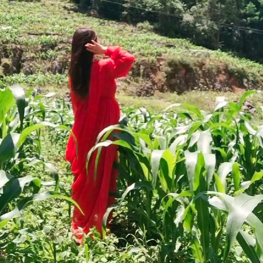 老了没钱不是种地就是下田