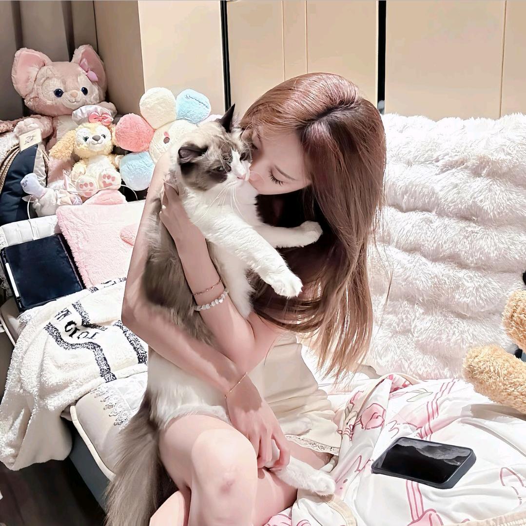 𝘽𝙚𝙡𝙤𝙫𝙚𝙙