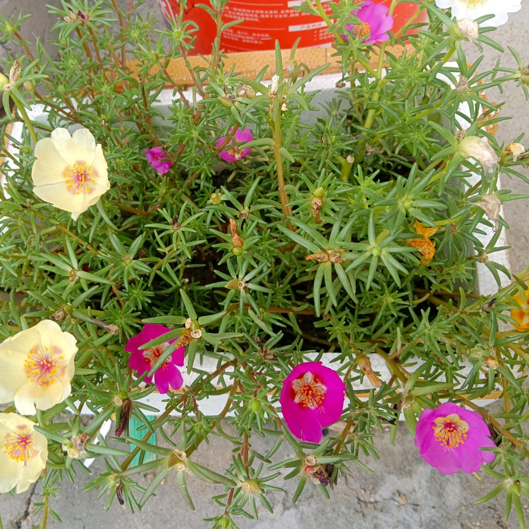 早起的鸟儿有虫吃。