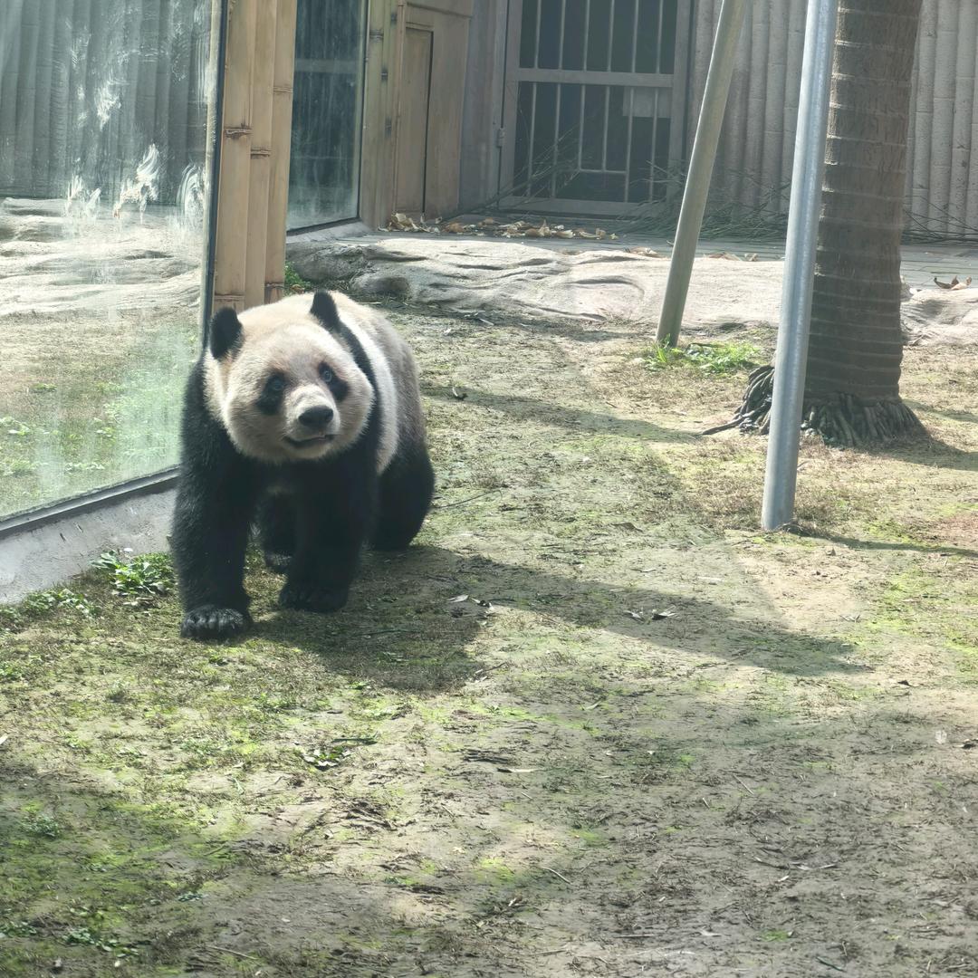 雾都全是山