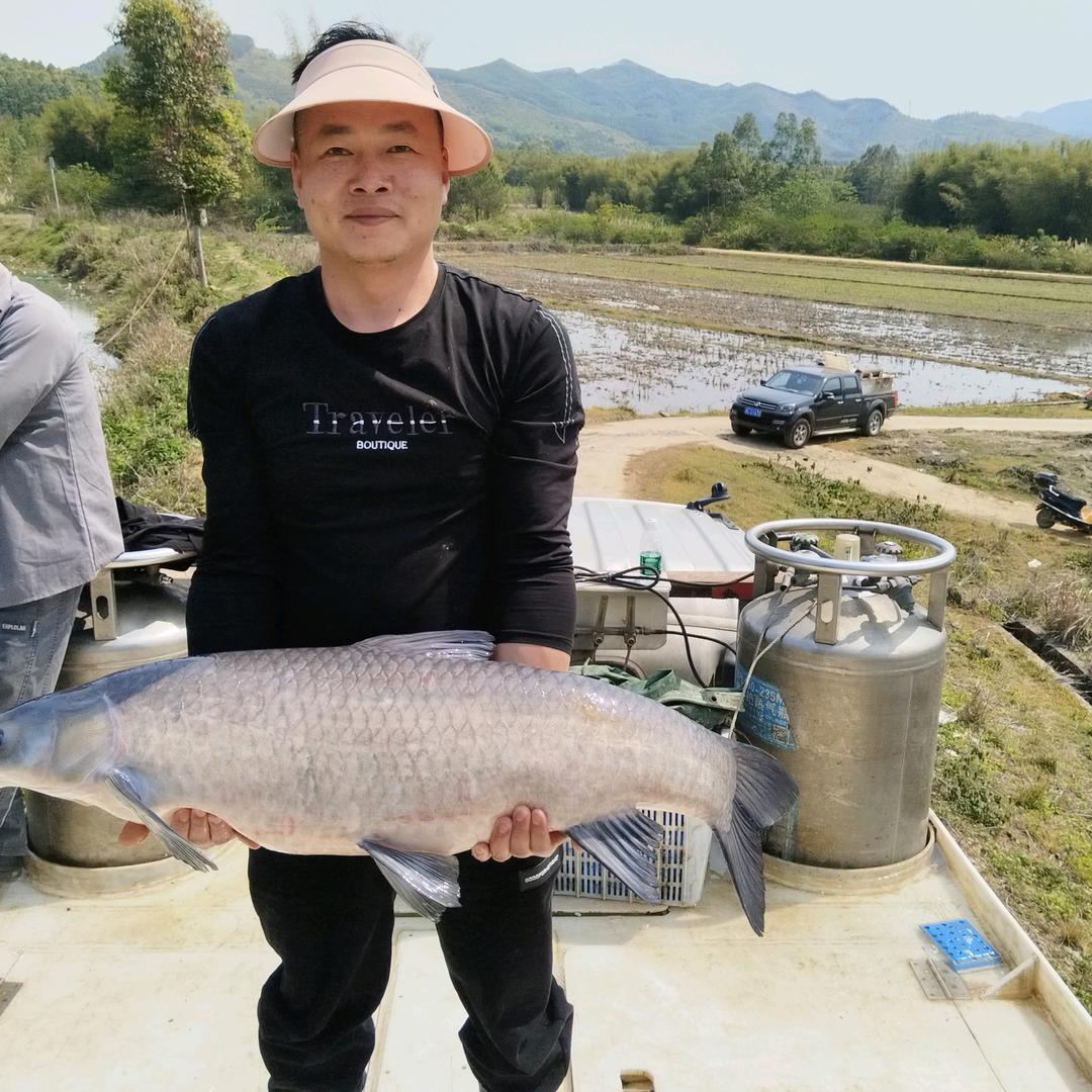 活鱼配送（钓场专供）