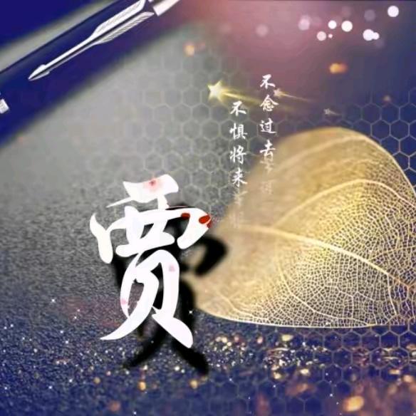 贾飞