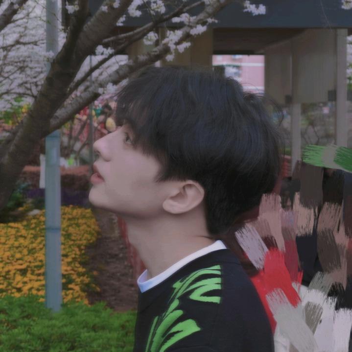 落宸