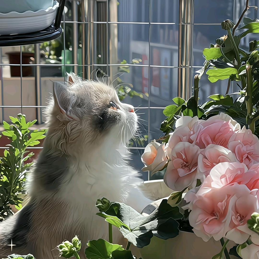 🌈🌈🌈二莽宝贝🌈🌈🌈