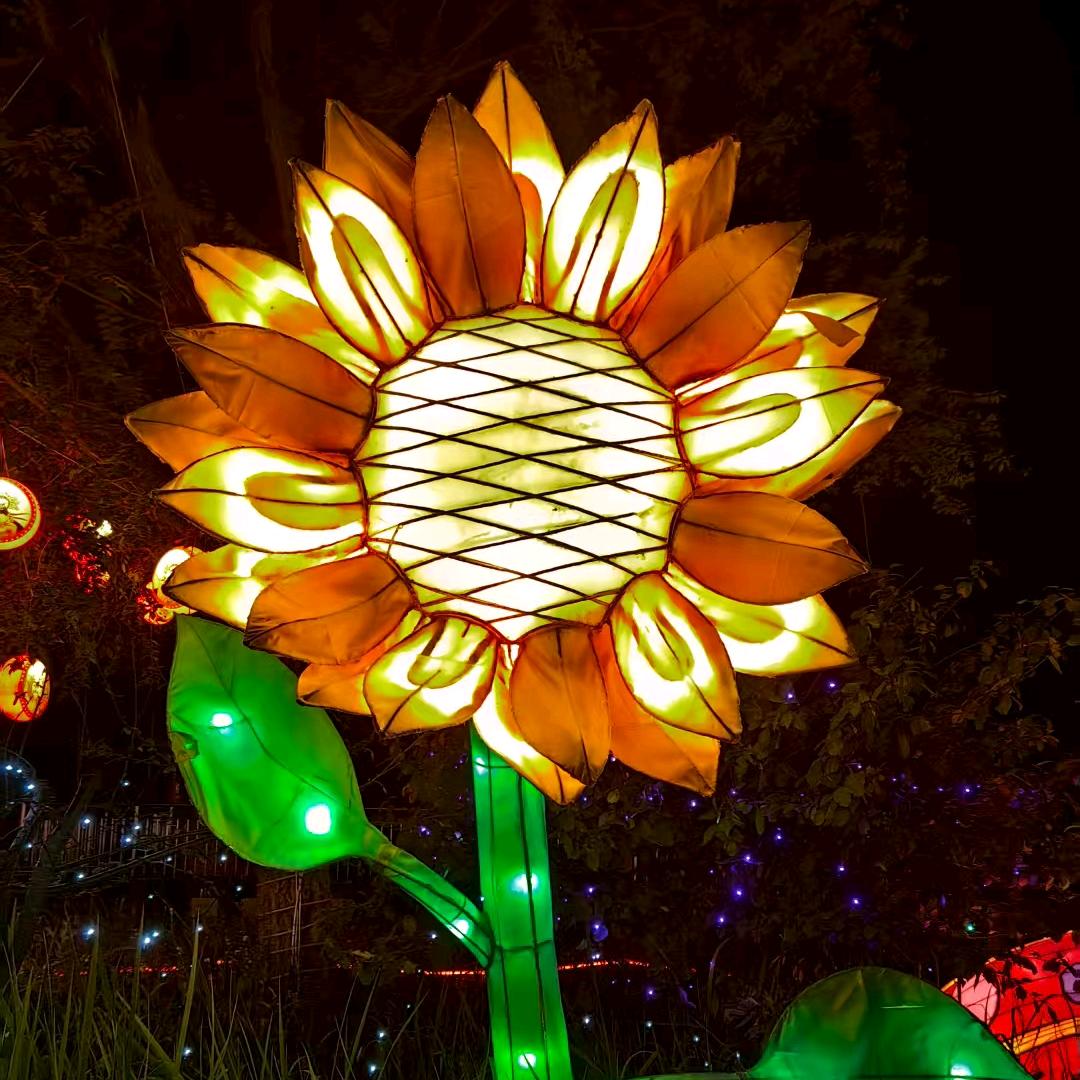 🌻吴悠🌻