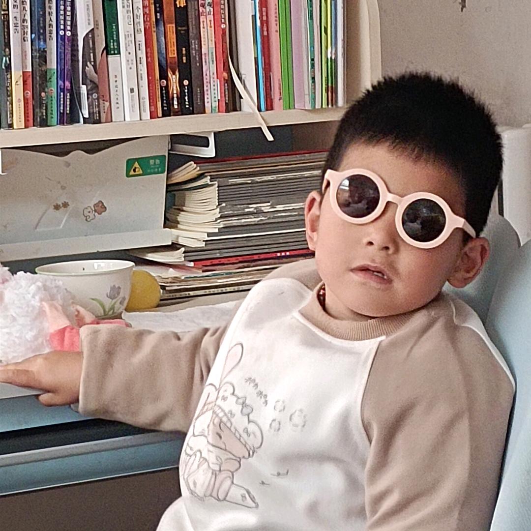 龍的传人