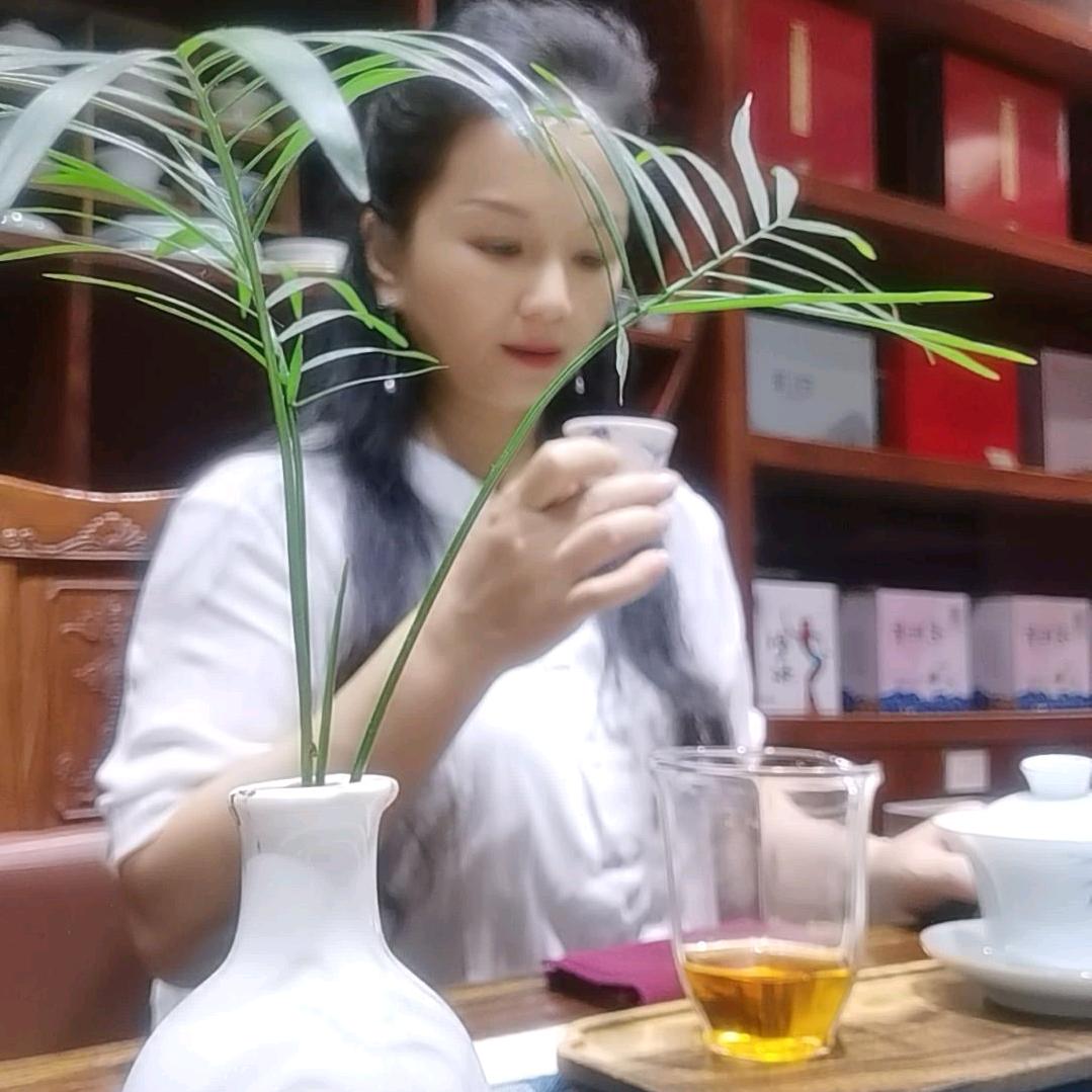 茶品人生