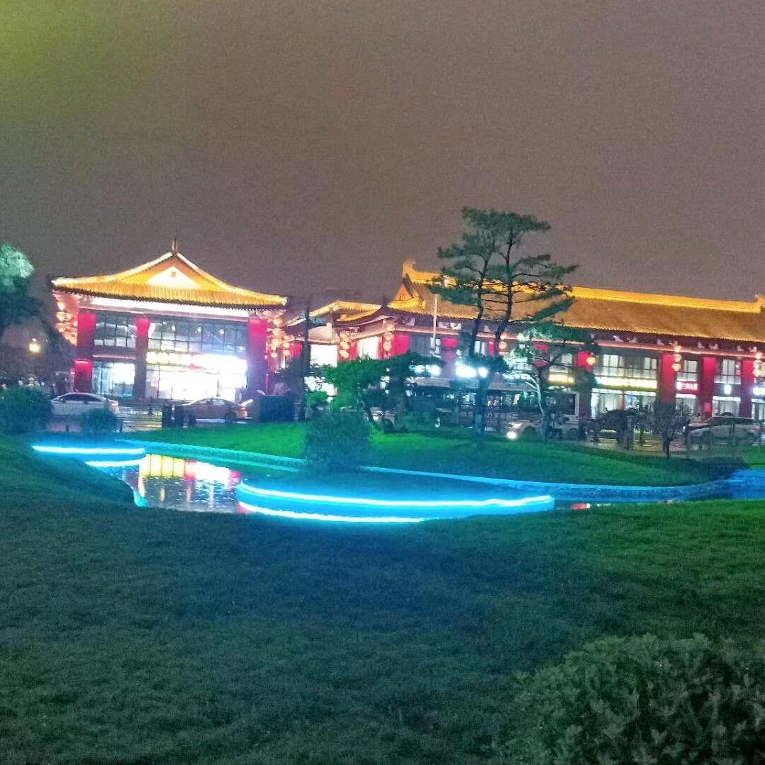 卢微