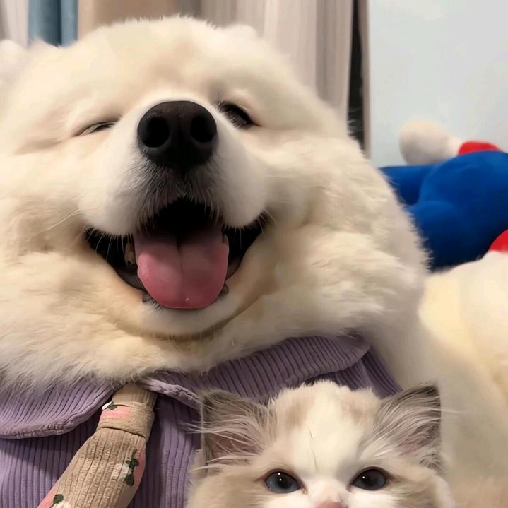 😃😃😃😃