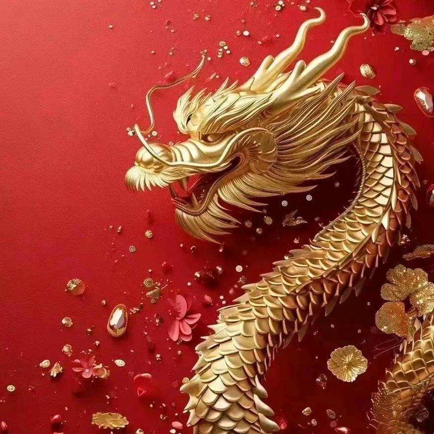 临泉金龙足道