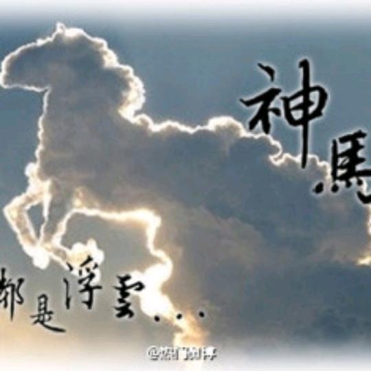 趵突王子🤴人气007🏆🦀