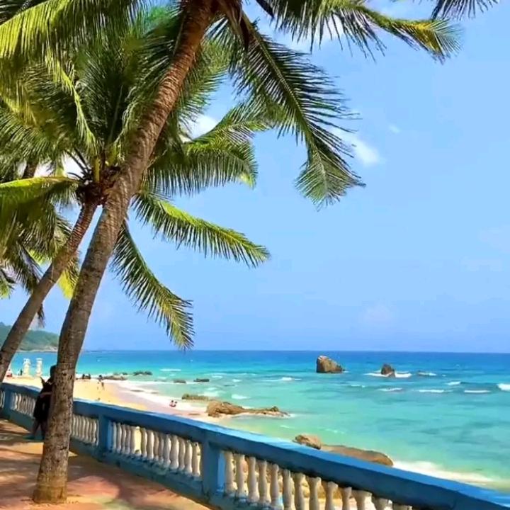 💕ꦿི餘生ℳঞᩚ不將就💘ৡ单身