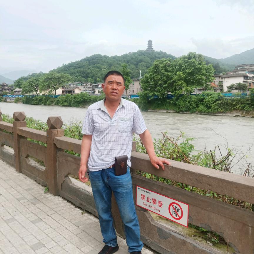 顺其自然随淡而安