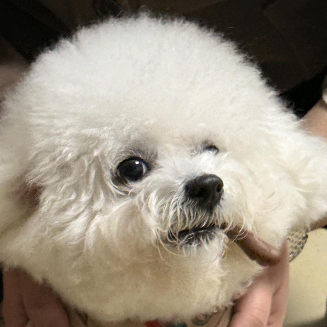 小十八爱发呆
