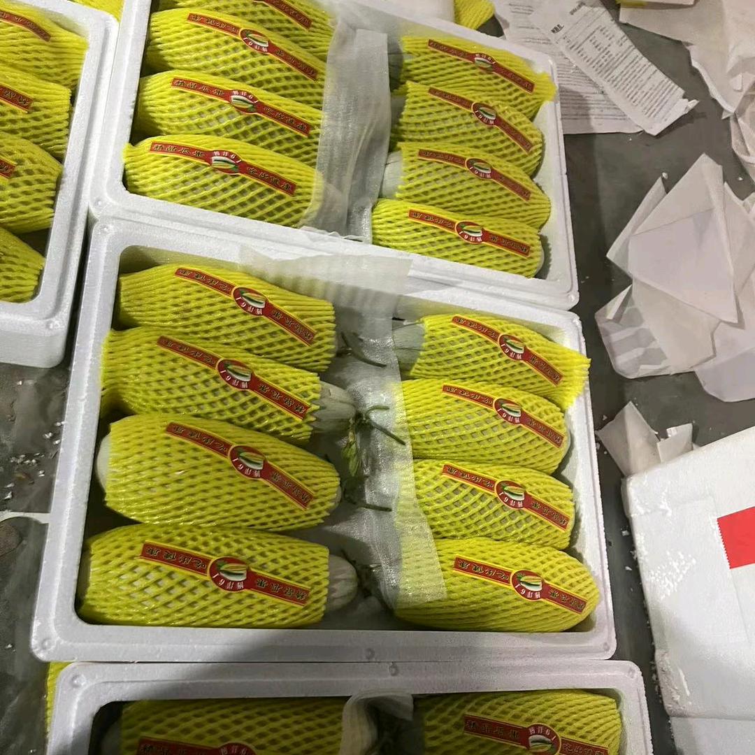 莘县鲁京果蔬代收