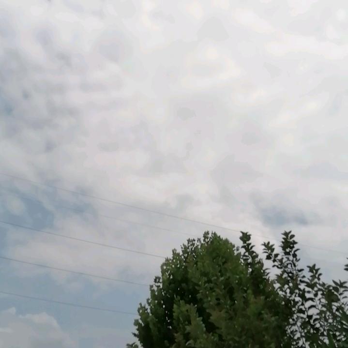 陵江江水