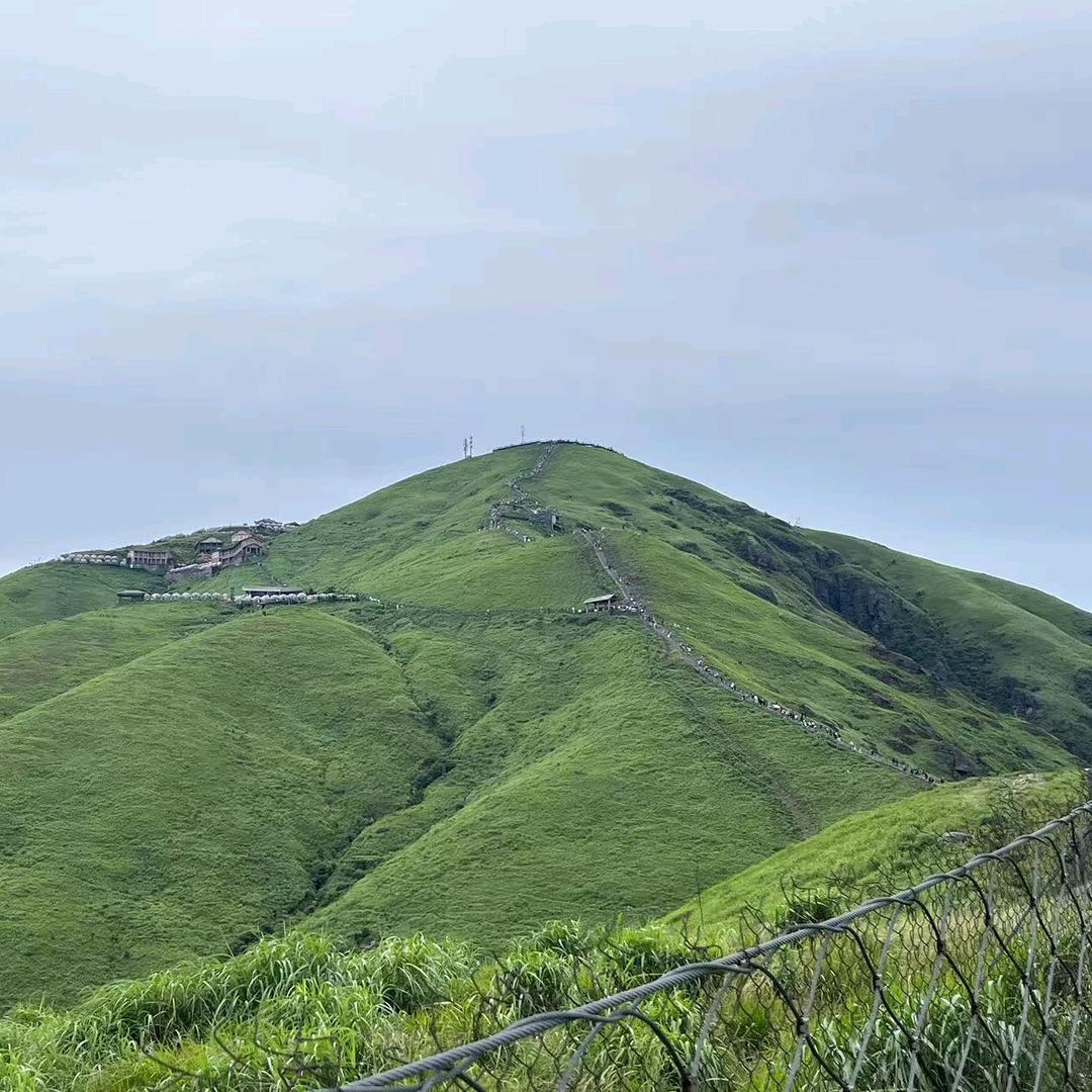 肤净皮皮甄选