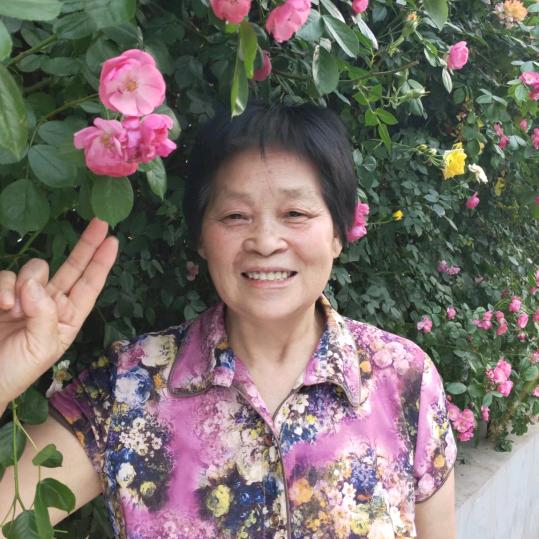 一帆风顺