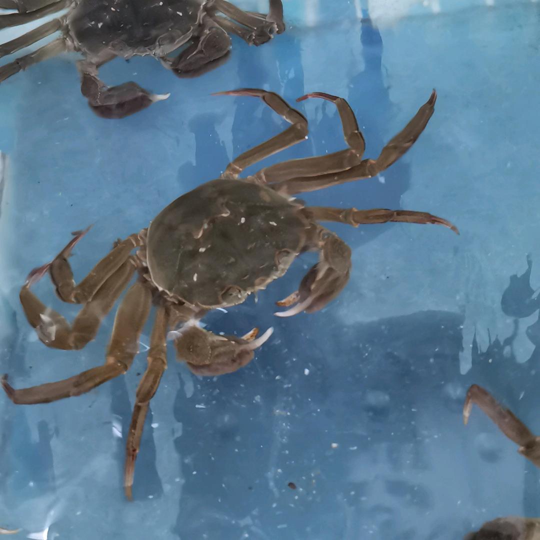 安徽芜湖味客私房菜