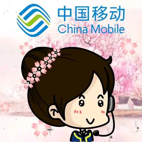 莲中手机城