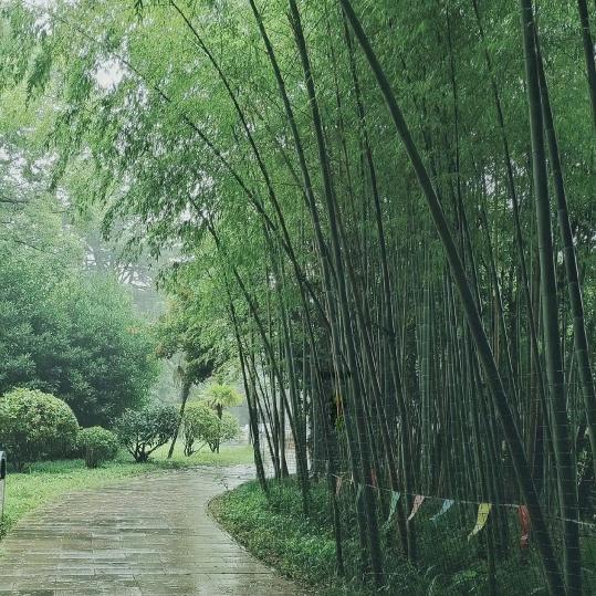 半夜饮酒半夜醉