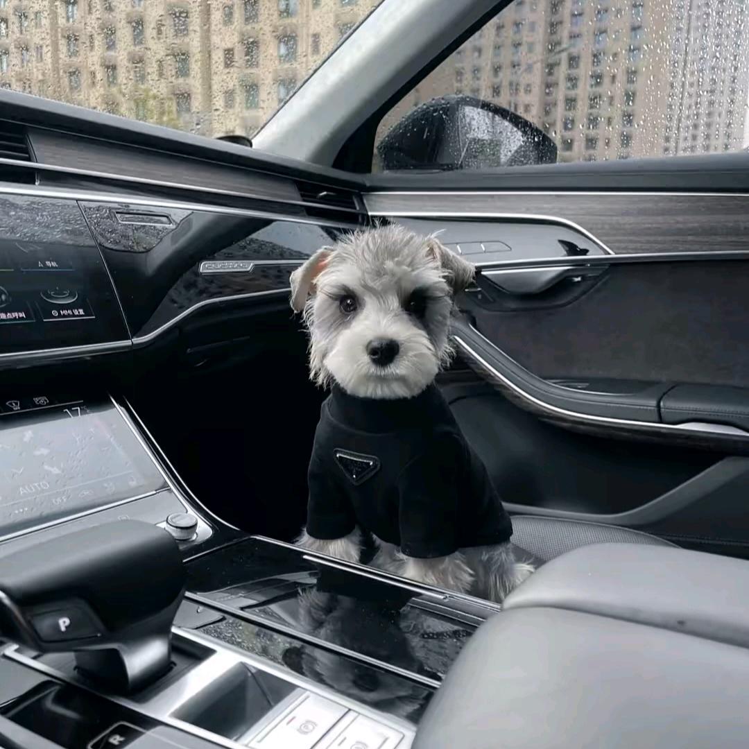 想喝一杯冰美式.