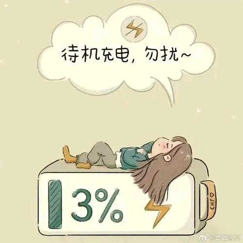 3%