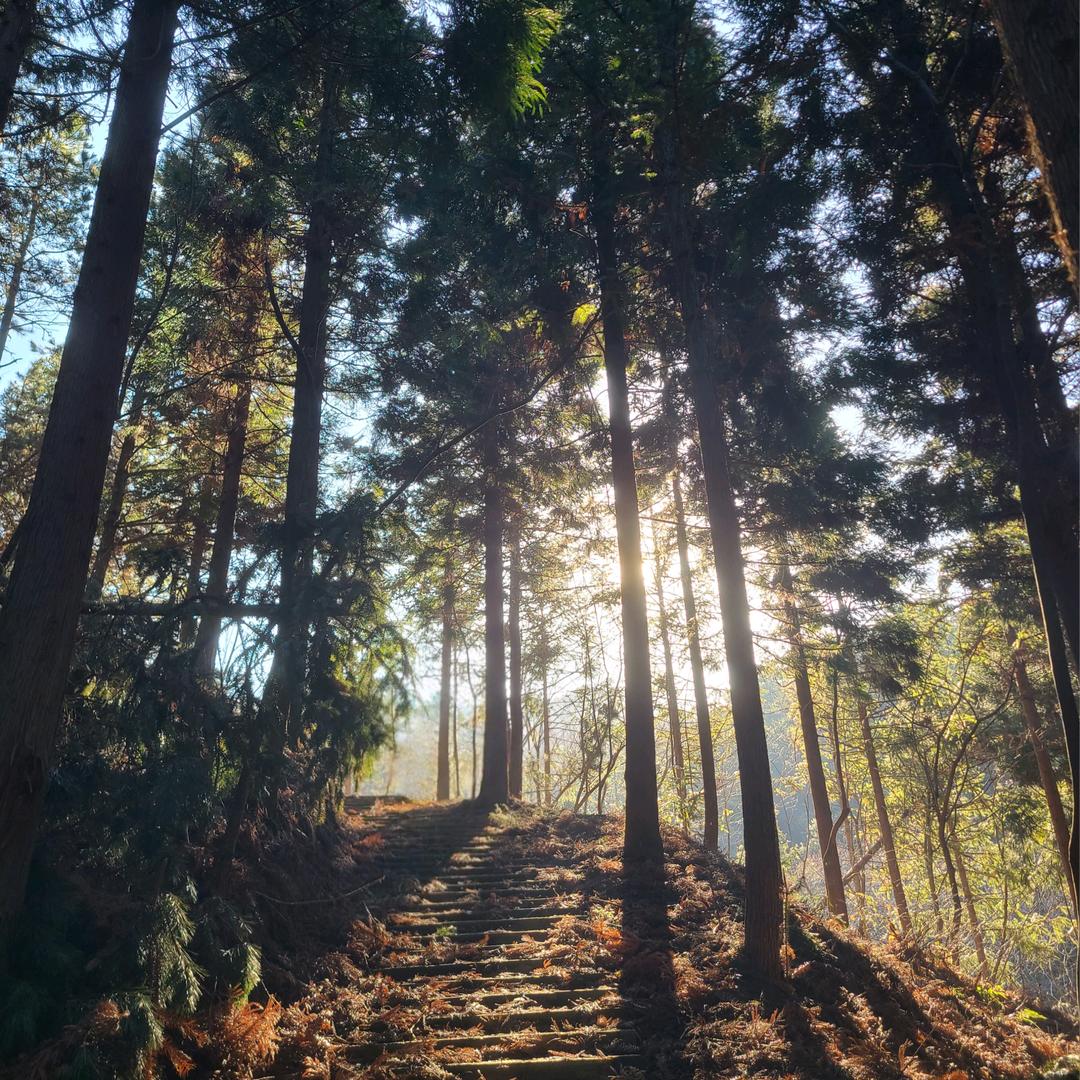 都是风景
