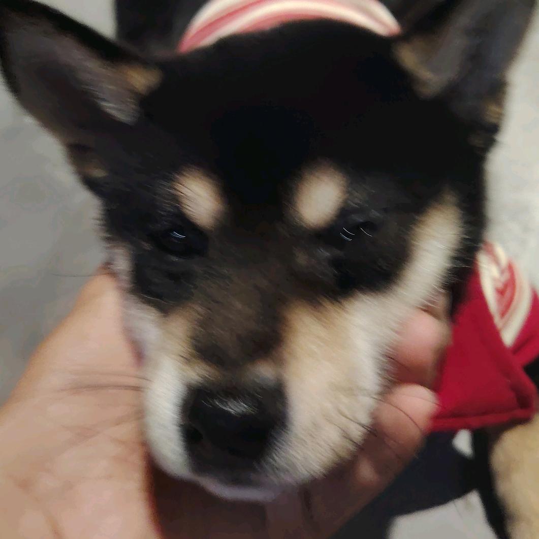 蝦垻䮻𡅅嚒𣌀誒癦𤧸